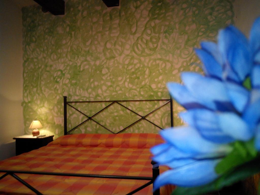 Certine Agriturismo Asciano Kamer foto