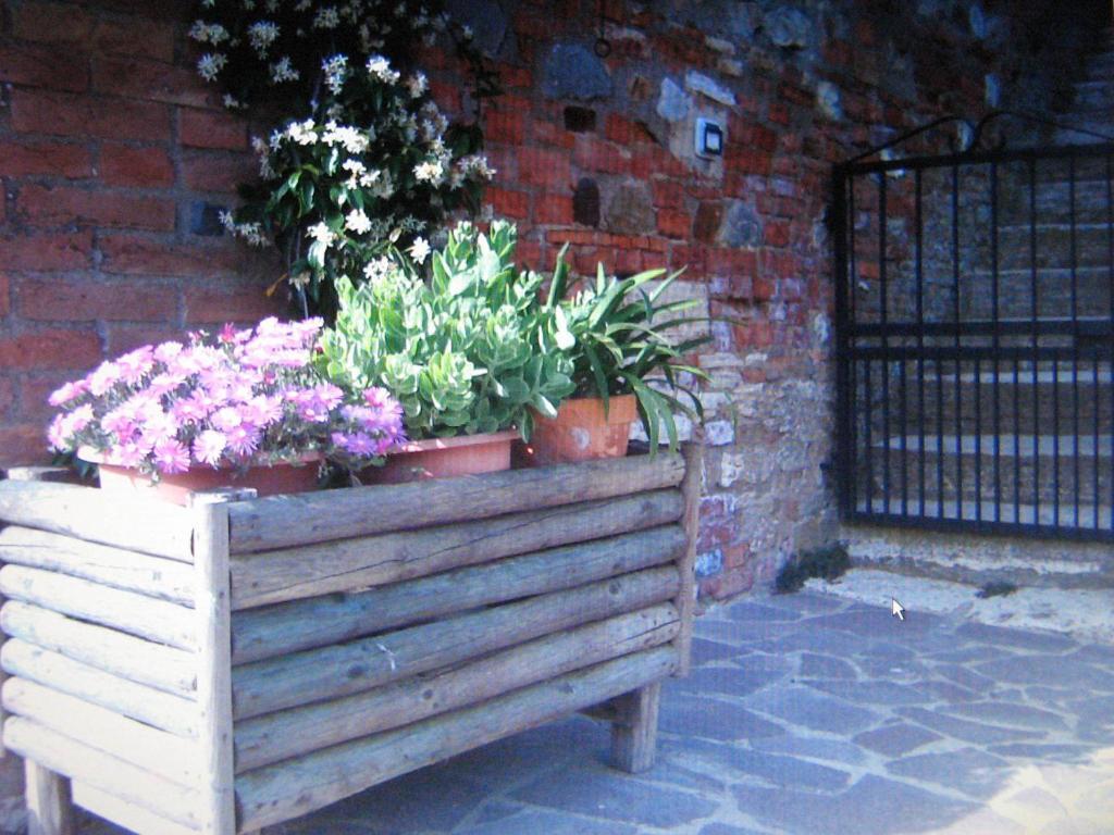 Certine Agriturismo Asciano Buitenkant foto