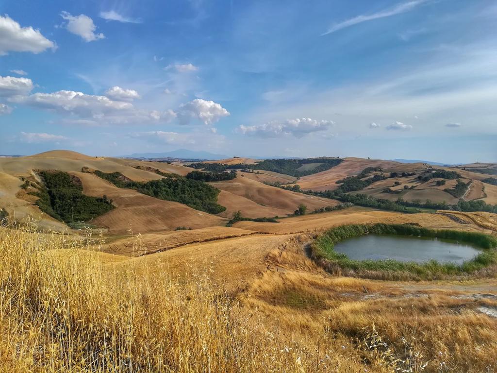 Certine Agriturismo Asciano Buitenkant foto